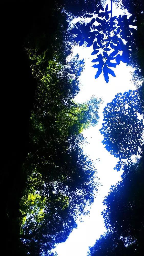 身上红疹水泡反复长,这篇文章告诉你根治的关键
